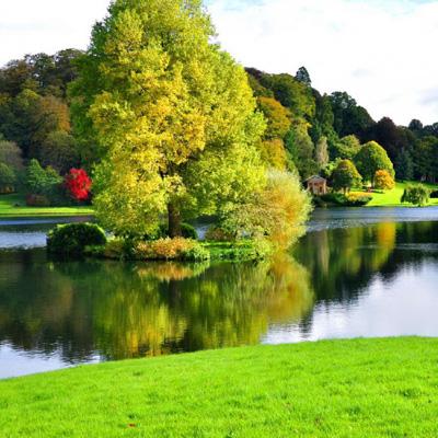 开元棋棋牌5467ccvod官网版截图