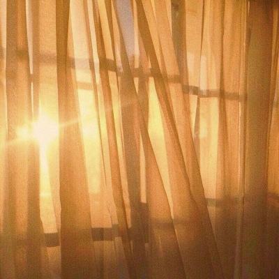 体育电竞押注网站大全